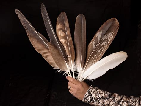 Eagle Feathers