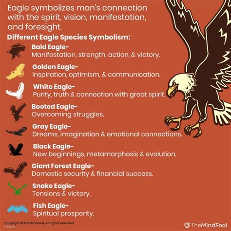 Eagle Symbolism