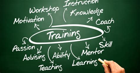 Education and Training Career Path