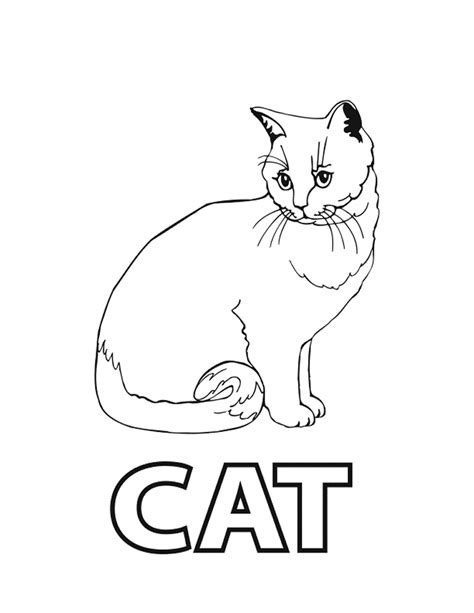 Educational Cat Coloring Pages