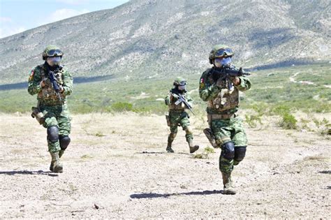 Ejército en acción