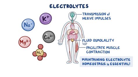 Electrolyte Replenishment