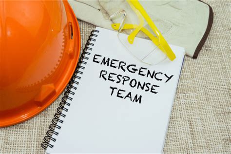 Emergency Management Professionals