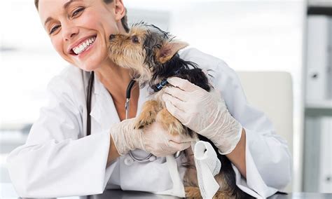 Emotional demands of being a veterinarian