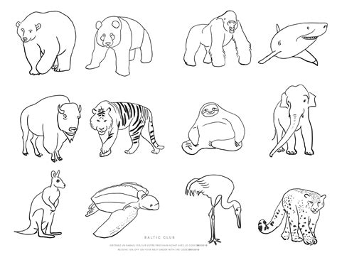 Endangered animals coloring