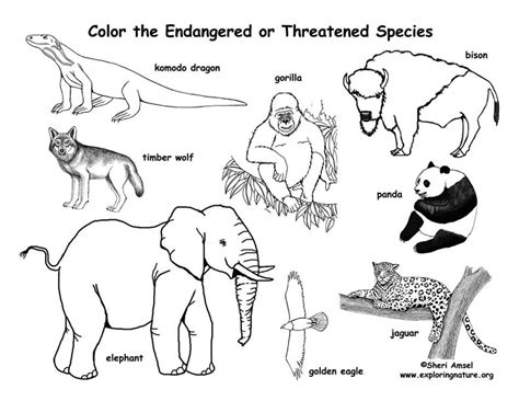 Endangered Species Coloring Pages