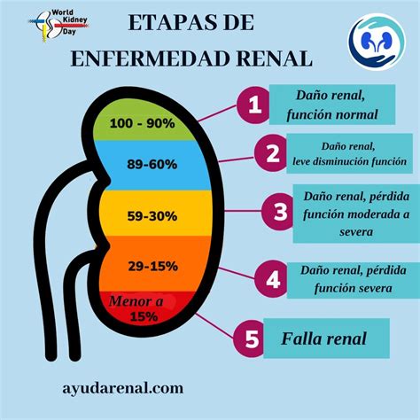 Enfermedad renal crónica