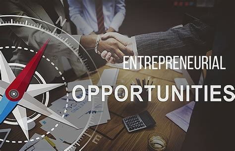 Entrepreneurial Opportunities