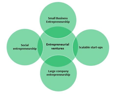 Entrepreneurial Ventures