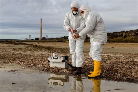 Environmental Health Officer in a Team Meeting