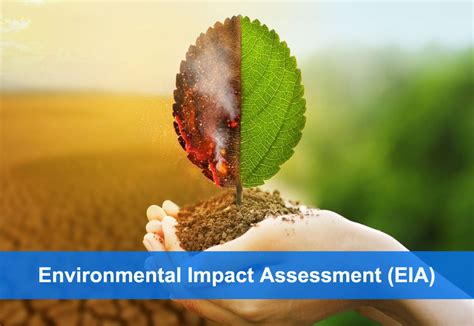 Environmental impact assessment