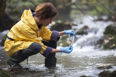 Environmental Scientist