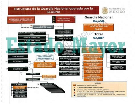 Estructura y Organización de la Guardia Nacional del Ejército