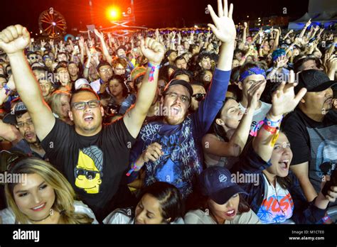 Excited crowd at a sports event