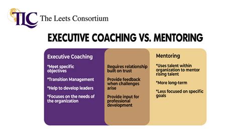 Executive mentoring