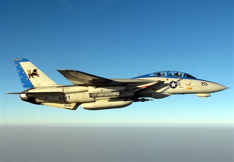 F-14 Tomcat in flight