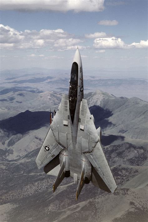 F-14 Tomcat in flight