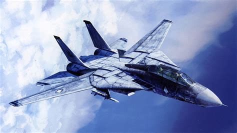 F-14 Tomcat in flight