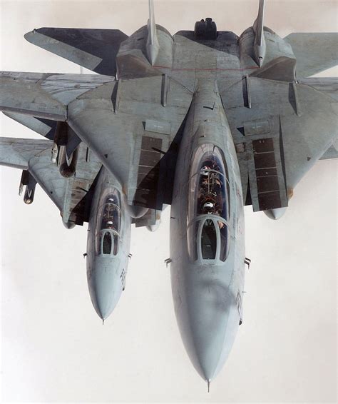 F-14 Tomcat portrait