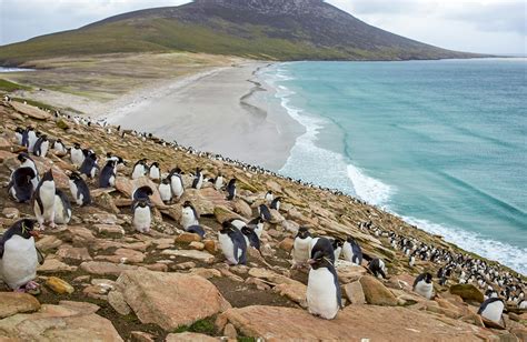 Falkland Islands