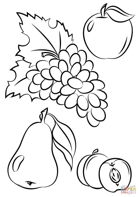 Fall fruit coloring pages for adults