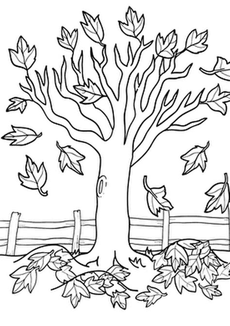 Fall tree coloring pages for adults