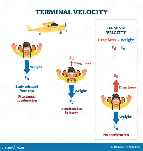 Falling object, with a speedometer indicating terminal velocity