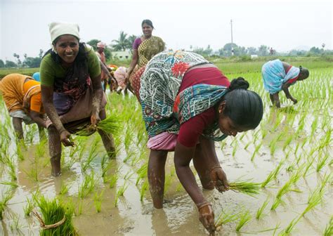 Farmers receiving training on sustainable agriculture practices