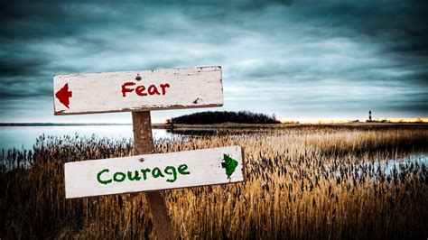 Fear and Courage