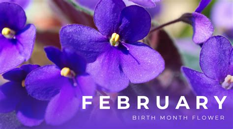 February birth flower tattoo ideas