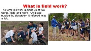 fieldwork definition