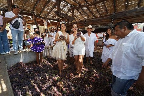 Fiesta de la Vendimia grape harvest