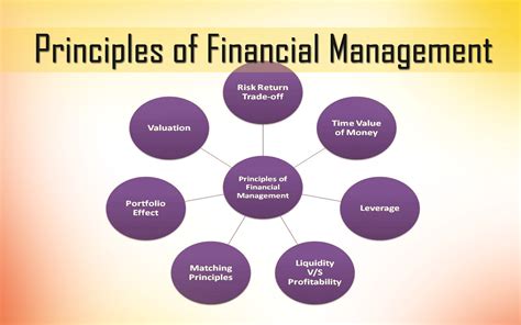 Financial management principles