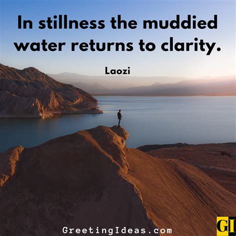 Finding joy in the stillness