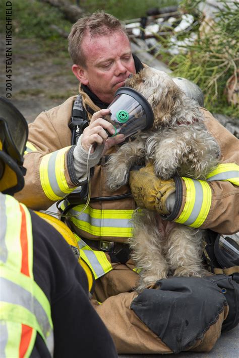 Firefighters with Animals