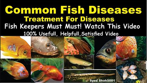 Fish Disease