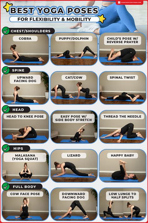 Flexibility and Mobility Workout