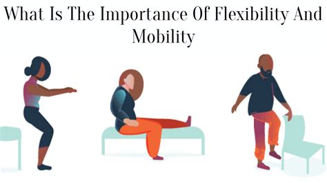 Flexibility and Mobility Training