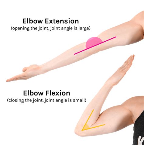 Flexion Angle