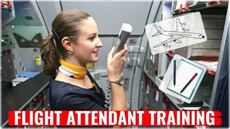 Flight Assistant Training