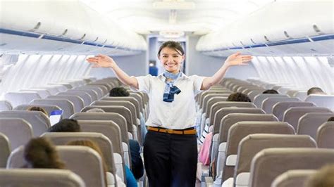 Flight Attendant Cabin