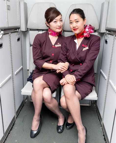 Flight attendant gallery image 4