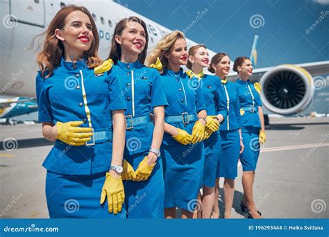 Flight attendant gallery image 6