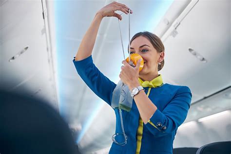 Flight Attendant Responsibilities Gallery