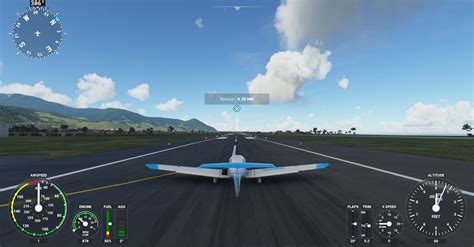 Flight Simulation