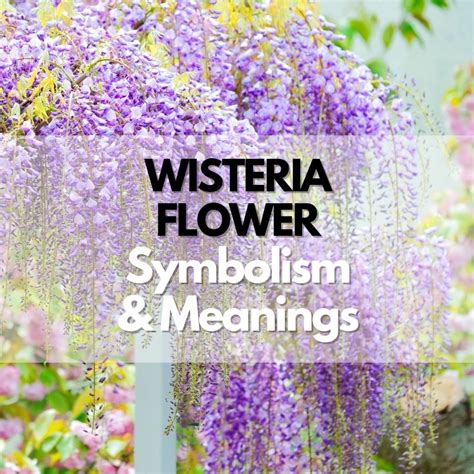 Meaning and symbolism of birth flowers