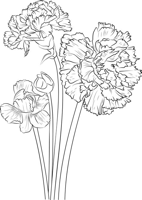 Carnations coloring page