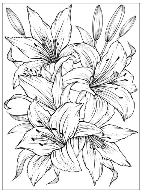 Lilies coloring page