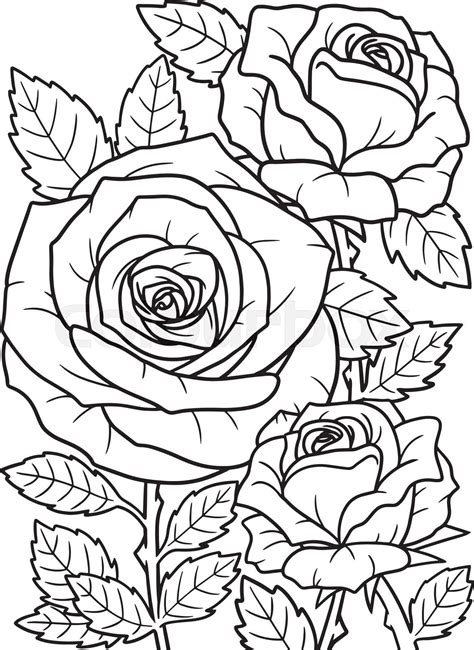 Roses coloring page