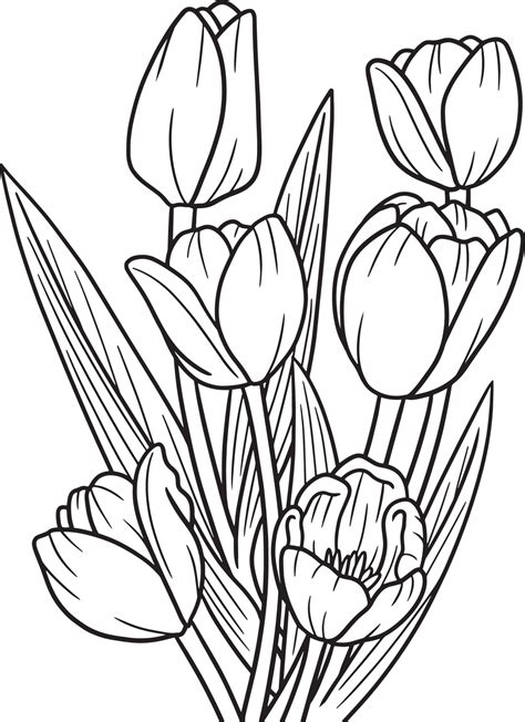 Tulips coloring page